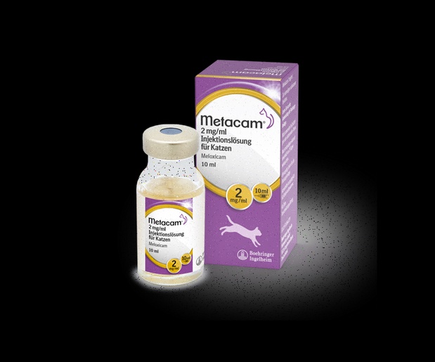 Meloxicam Rezeptfrei ohne Rezept Deutschland